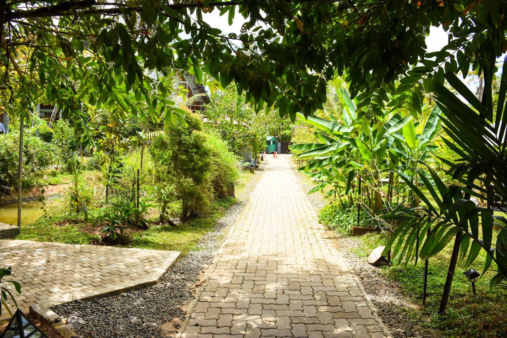 Steps Garden Resort ネゴンボ エクステリア 写真